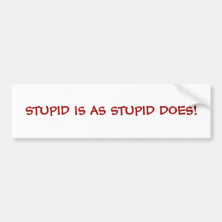 STUPID IS AS STUPID DOES! BUMPER STICKER