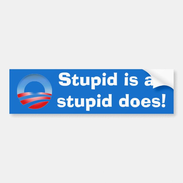 Stupid is as stupid does! bumper sticker (Front)