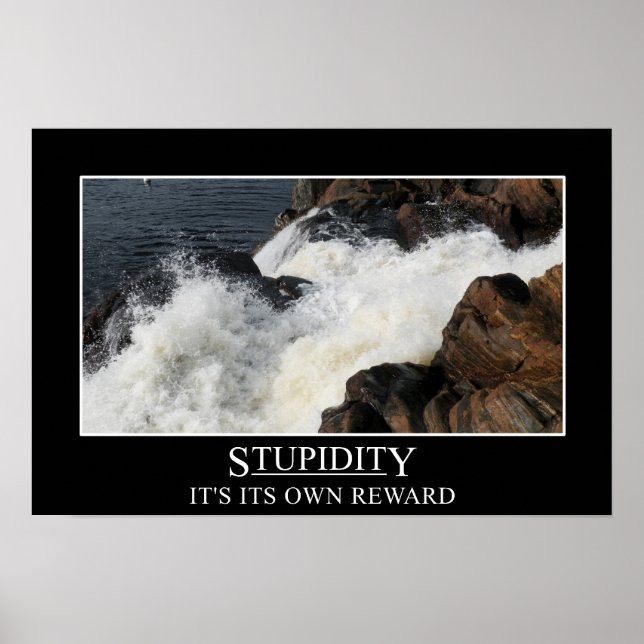 Stupidity is its own reward (L) Poster (Front)