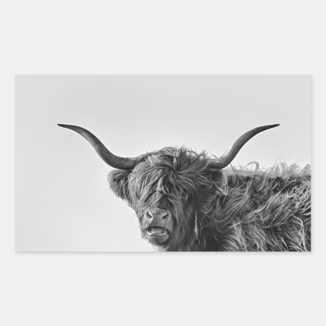 Sturdy highland cow in monochrome sticker (Front)