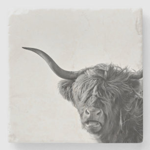 Sturdy highland cow in monochrome stone coaster