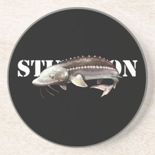 Sturgeon Coaster
