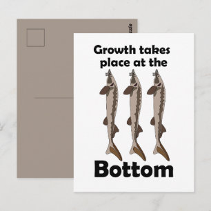 Sturgeon Fish Bottom Dweller Inspirational Quote Postcard