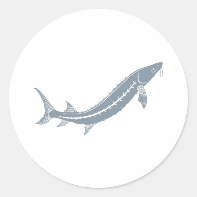 Sturgeon Fish Classic Round Sticker (Front)
