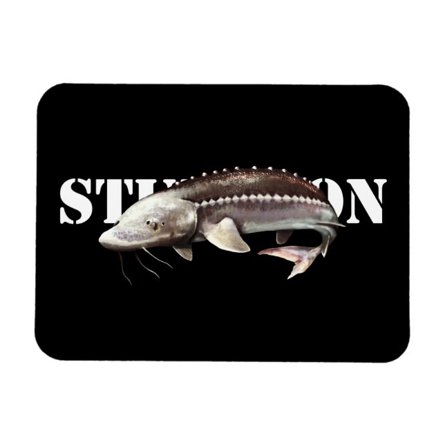 Sturgeon Magnet (Horizontal)