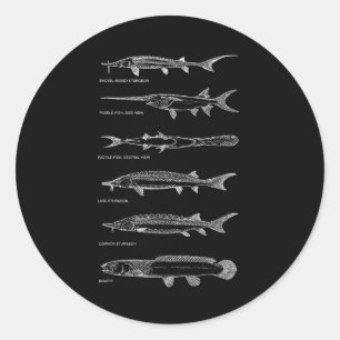 Sturgeons Paddle Fish Bowfin Fish Chart Best Fishe Classic Round Sticker