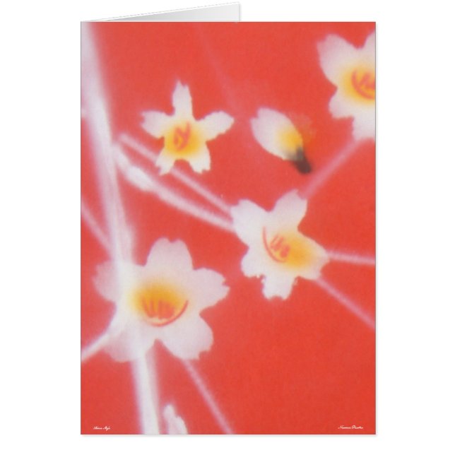 Style asiatique - Carte (Devant)