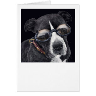 "Style" - Bully Mix
