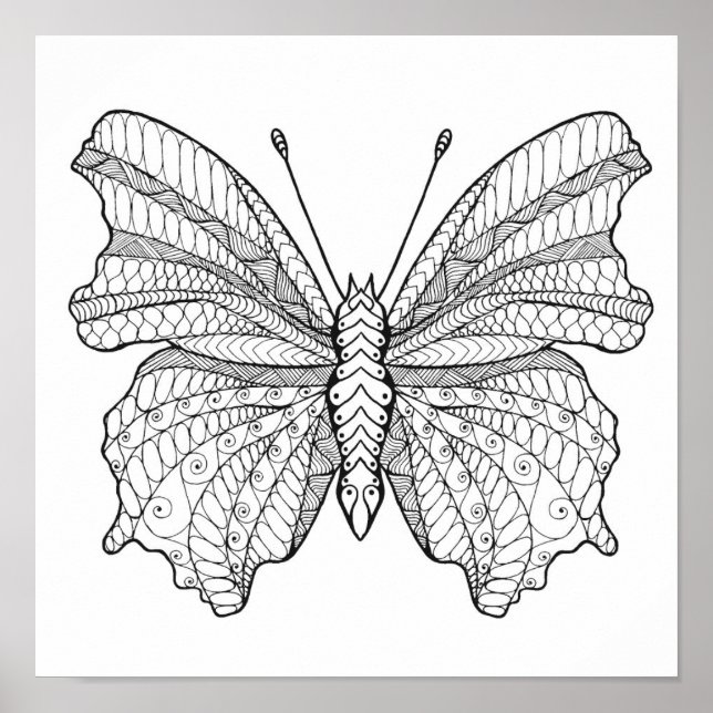 Style Butterfly 6 Poster (Front)