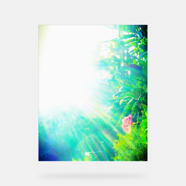 STYLE DE CONCEPTION ROSE DE SIGNE ACRYLIQUE (Recto)