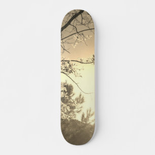 STYLE ET CONCEPTION DE PLANCHE À ROULETTE