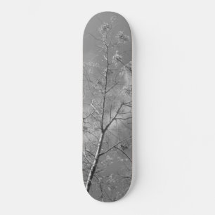 Style et conception du skateboard