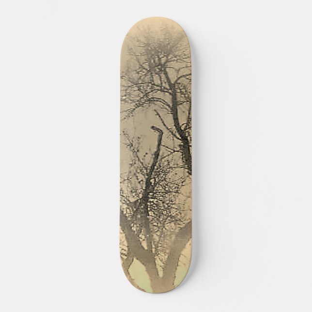 STYLE ET DESIGN SKATEBOARD (Recto)