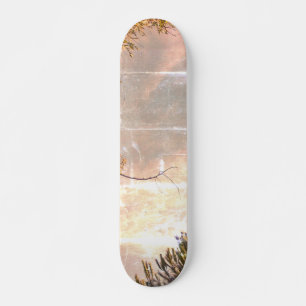 STYLE ET DESIGN SKATEBOARD