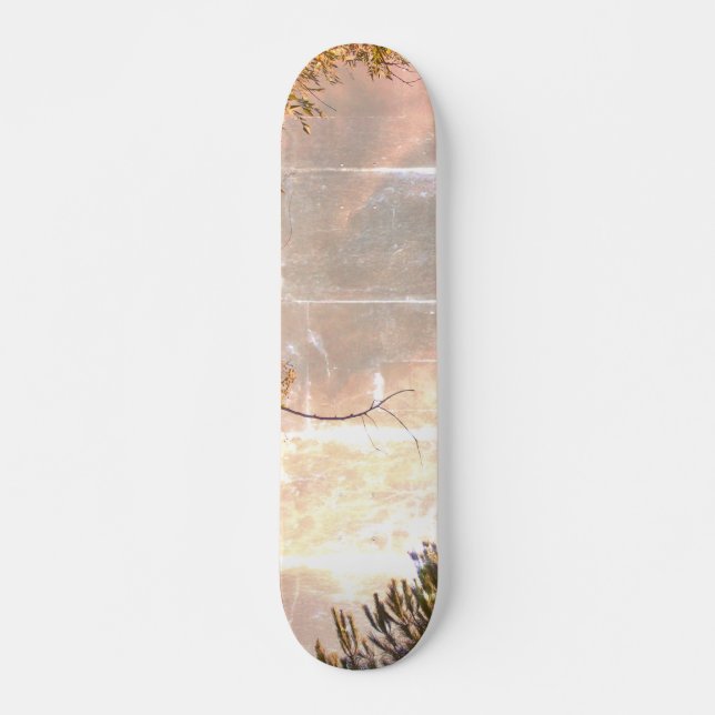 STYLE ET DESIGN SKATEBOARD (Devant)