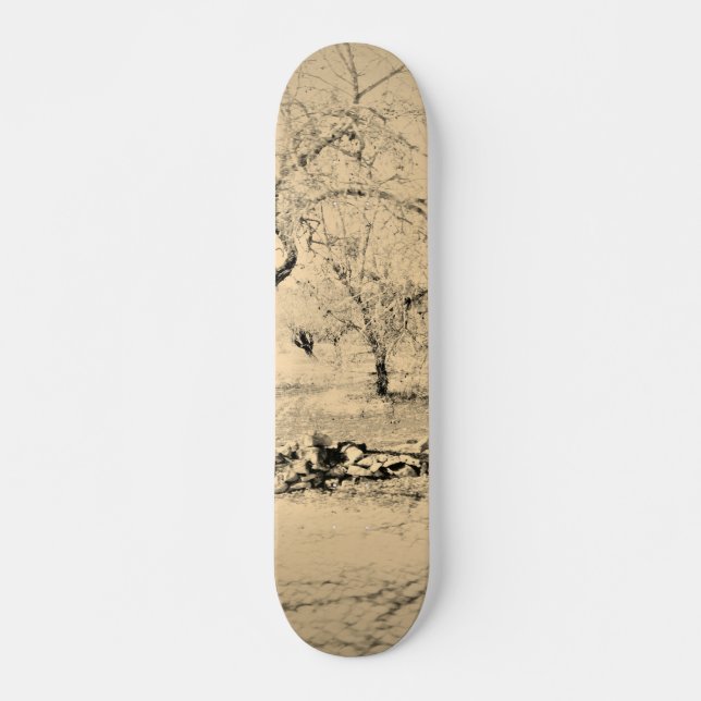 STYLE ET DESIGN SKATEBOARD (Devant)