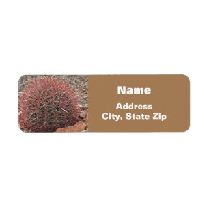 Style sud-ouest Plante rouge Baril rouge Cactus