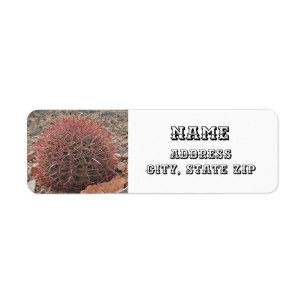 Style sud-ouest Plante rouge Baril rouge Cactus