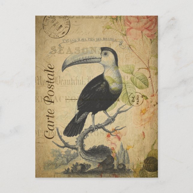 Style vintage Toucan Carte française Postale (Devant)