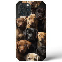 "StyleGuard: Protect Your iPhone with Personality!