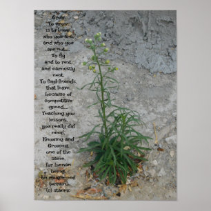 STYLES D'ART ET DE DESIGN POSTER