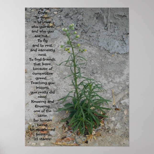 STYLES D'ART ET DE DESIGN POSTER (Devant)