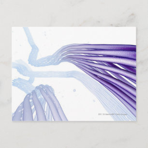 Stylised nerve fibres postcard