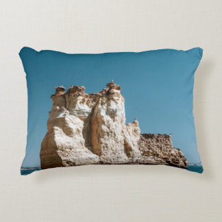 Stylish Accent Pillow for Your Home