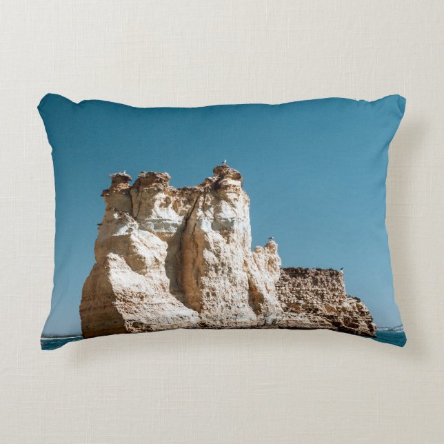 Stylish Accent Pillow for Your Home (Front)