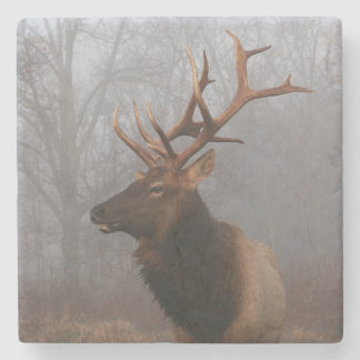 Stylish and Elegant Christmas Elk Stone Coaster