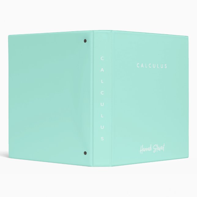 Stylish and Trendy Mint Green Minimalist Girly Binder (Background)