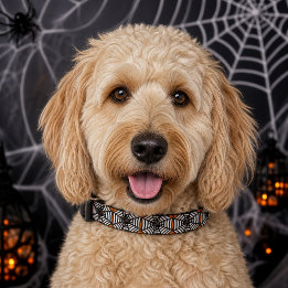 Stylish Black Spiderweb Halloween Dog Pet Collar