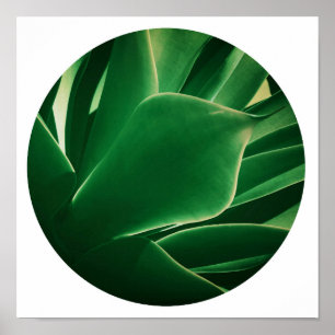 Stylish Bright Green Plant Succulent Poster