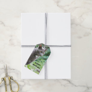Stylish Cat Birthday Gift Tags