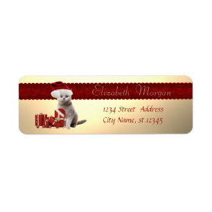 Stylish Cat With Santa Hat,Christmas Presents