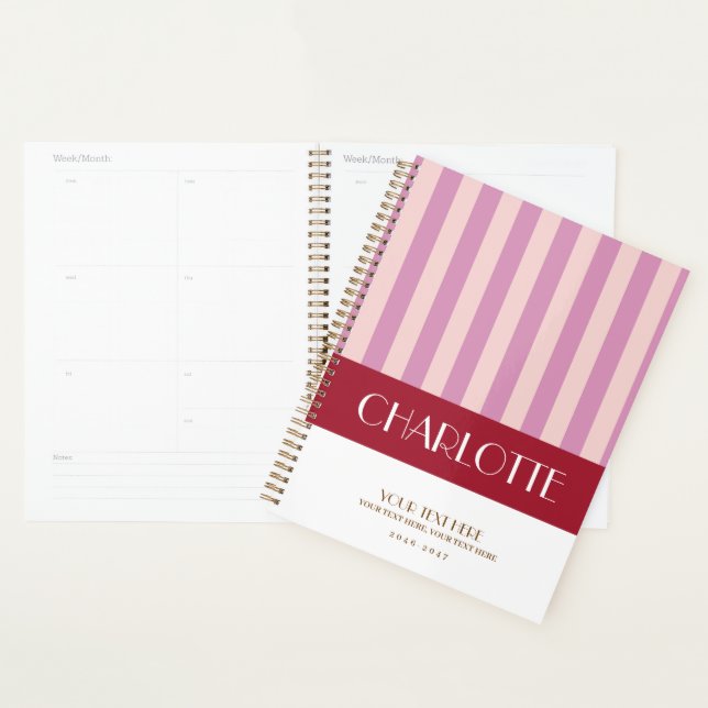 Stylish Colourful Stripes Personalized Planner (Display)