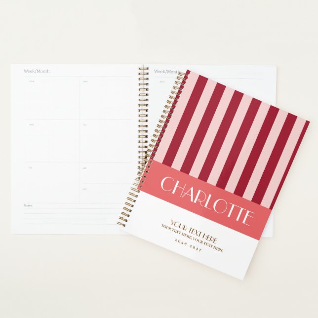 Stylish Colourful Stripes Personalized Planner (Display)