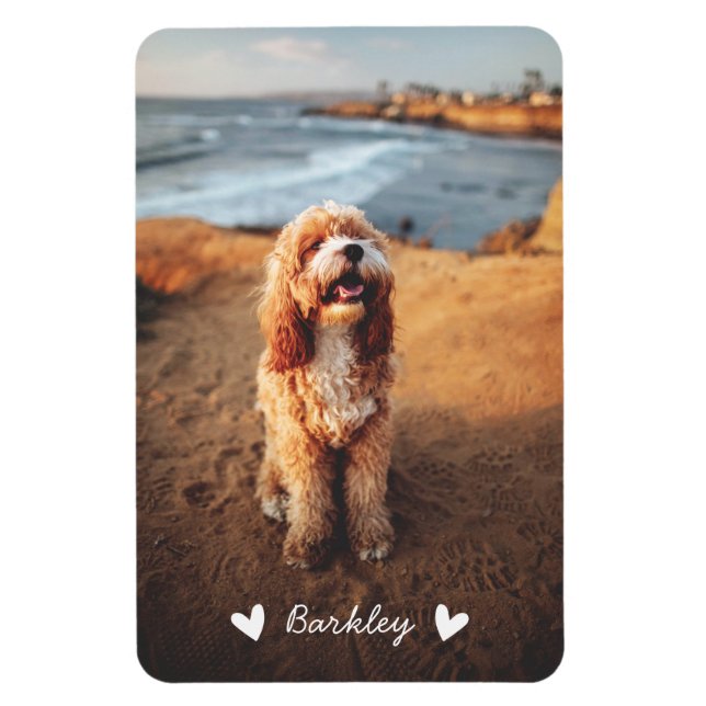 Stylish Cute Hearts Pet Photo Name | White Magnet (Vertical)