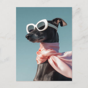 Stylish Dog With Sunglasses Scarf Postcard