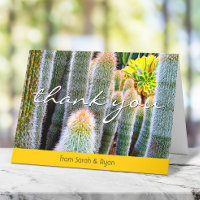Stylish green fuzzy cacti modern script name bold