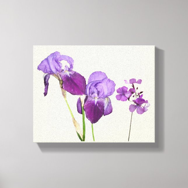 Stylish hot purple iris flowers digital fine art canvas print (Front)