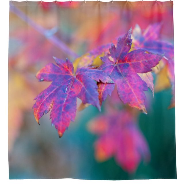 Stylish Japanese Maple leaves (Front)