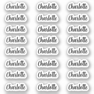Stylish Name Sticker decal name labels