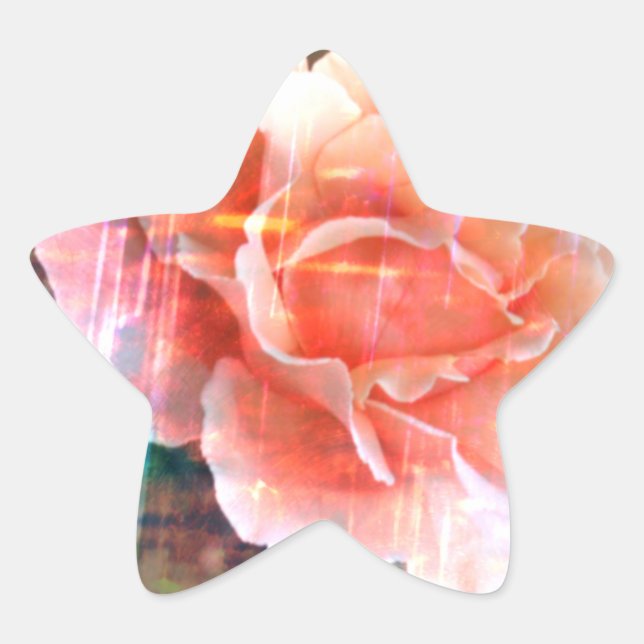 Stylish Old Rose Star Sticker (Front)