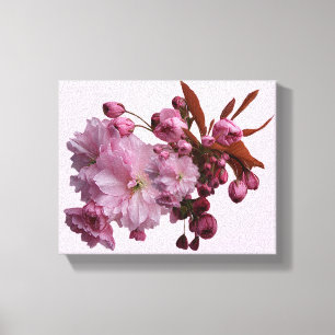 Stylish pale pink blush cherry blossom  canvas print