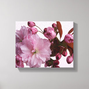 Stylish pale pink blush cherry blossom  canvas print