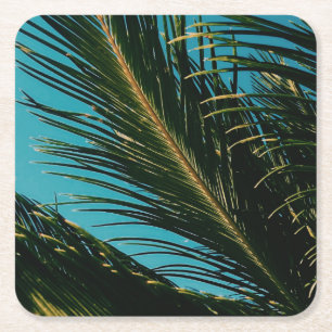Stylish Palm Tree Leaves Square Paper Coaster