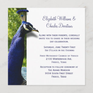 Stylish Peacock Custom Wedding Invitation