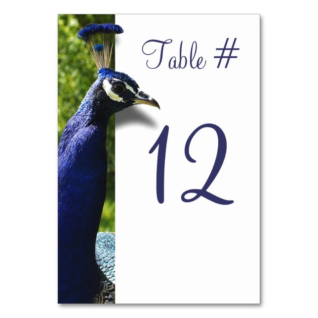 Stylish Peacock Wedding Table Number Card (Front)