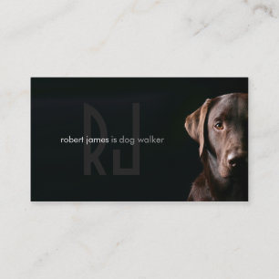 Stylish pet care dog walker walking business card